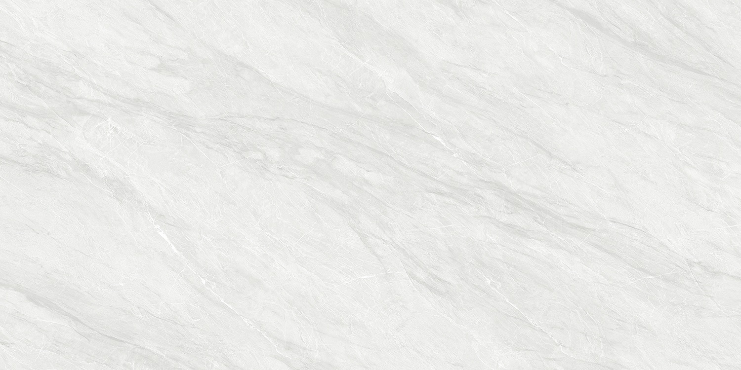 DZ4816A 依云灰